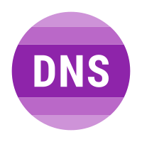 防DNS泄漏